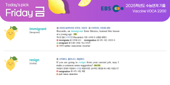 2025년 11월 14일 금요일 Today's Pick