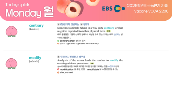 2025년 11월 24일 월요일 Today's Pick