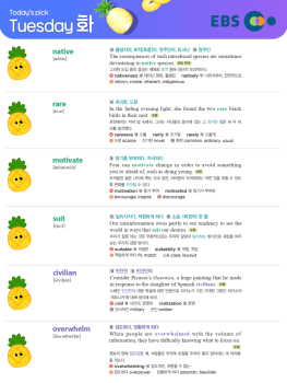 2026년 5월 26일 화요일 Today's Pick
